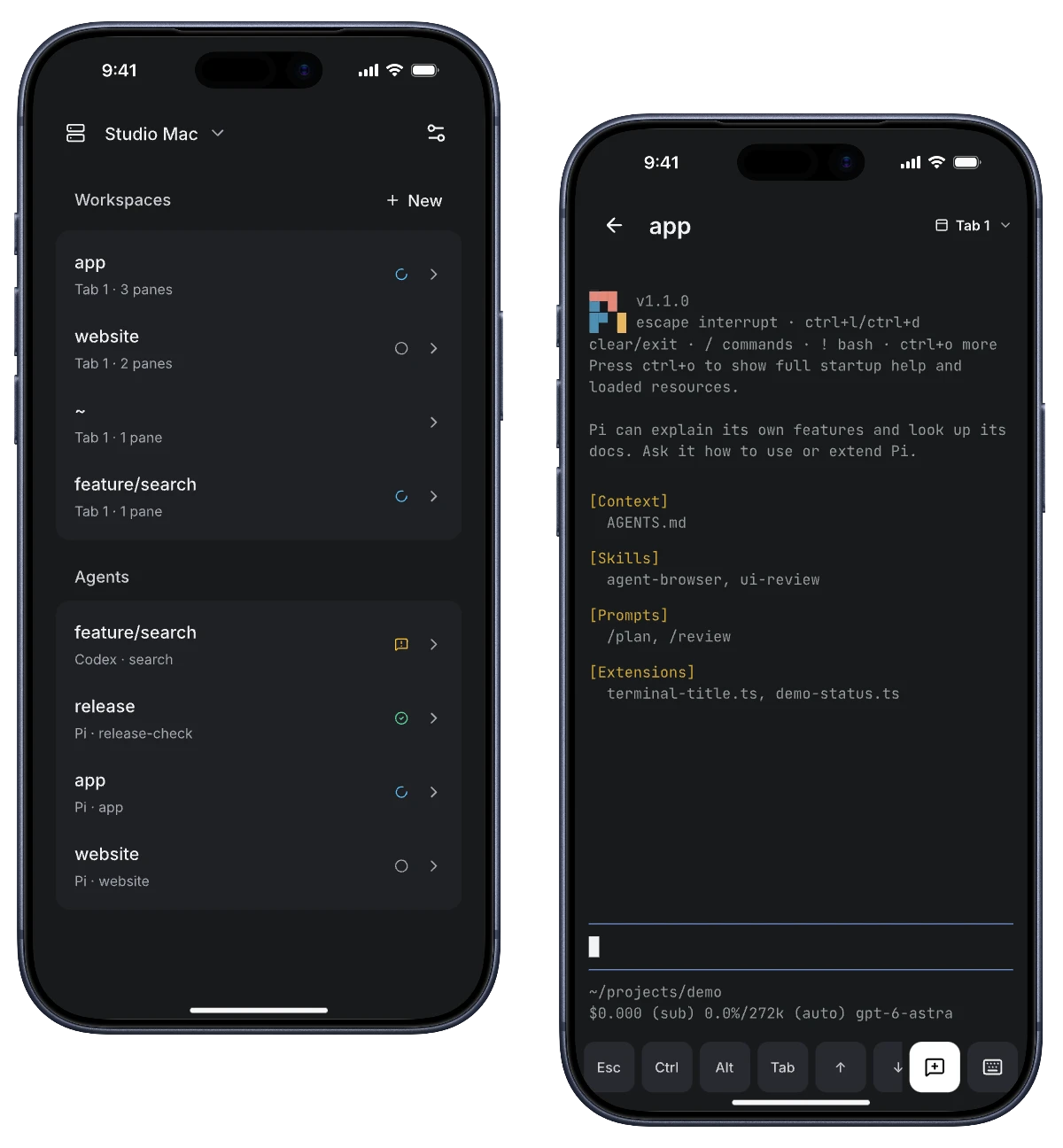 Flitra on iPhone: Herdr workspaces and agent statuses alongside a Pi terminal.