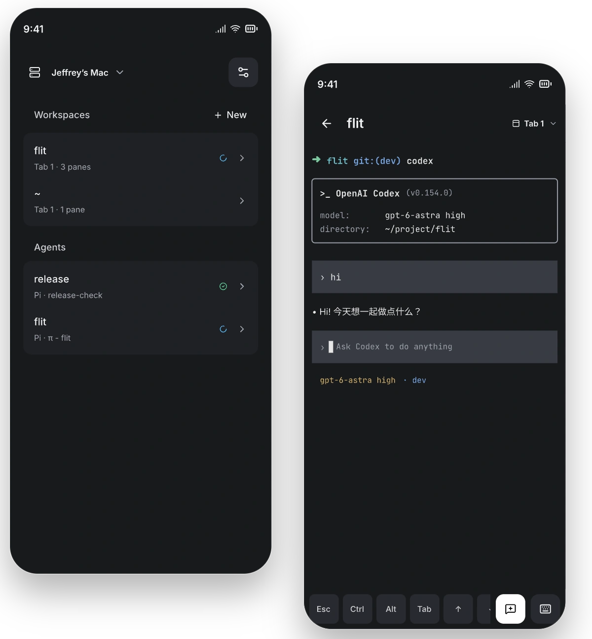 Flitra on mobile: Herdr workspaces and agent statuses alongside a Pane terminal.